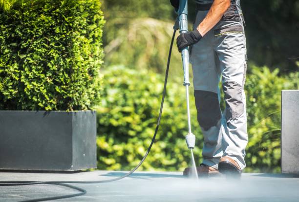 Best Driveway Pressure Washing  in Pitman, NJ